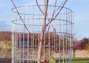 Wholesale Spot Welding Stainless Steel Welded Wire Mesh For Covers Or Protection from china suppliers