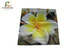 Polyester Digital Custom Printed Clothing Flower Cushion Covers Mixed Color