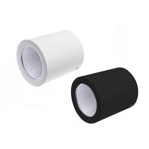 Wholesale IP44 Ceiling Mounted Down Lights 1000lm Surface Mounted Cylinder Downlight from china suppliers