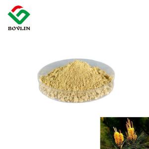 Wholesale CAS 90046-19-8 Pine Pollen Extract Powder Loss Weight In Bulk from china suppliers