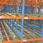 Industrial Cold Storage Carton Flow Shelving Roller Conveyor System For