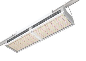 Wholesale Outdoor Greenhouse 330W IP65 Greenhouse LED Grow Lights from china suppliers