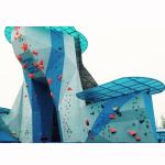 Child-Friendly Tiger Shape Entertainment Rock Climbing Holds for Fun Time