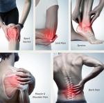 Regeneration And Rehabilitation Of Musculoskeletal Disorders PEMF Magnetic