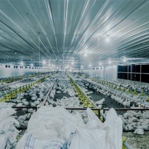 Wholesale ISO Chicken Farm Equipment 271rpm 325rpm Water Nipple Drinker Chicken Feeder from china suppliers