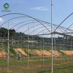 Sided Ventilation 12m Multi Span Commercial Outdoor Greenhouse Wind Resistant