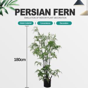 Wholesale Faux Fern Small Artificial Potted Floor Plants Bonsai 450cm Wind Resistance from china suppliers
