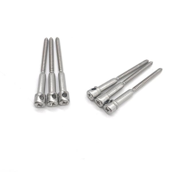 Sealing Bolts For Watthour Meters Galvanized Hole Screws For Anti-Tampering Of