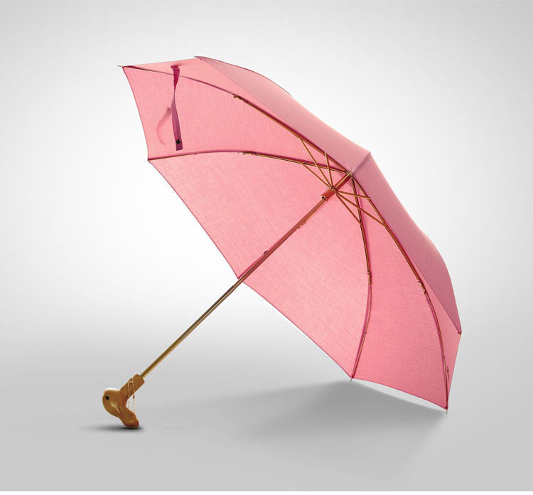 Black Walnut Wood Handle Umbrella Women Carved Umbrella Waterproof