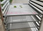 Customized Stainless Steel 304 Trolley with Tray for flower drying