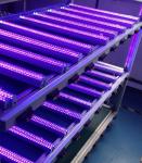 Blue Treatment Lamp Ultraviolet Lights 365Nm UV T8 Portable Lighting 1200cm RoHS