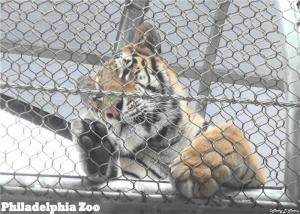Wholesale Zoo Flexible Stainless Steel Rope Mesh 304L 316 5mm from china suppliers