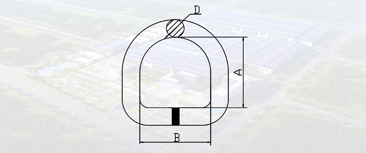 SLR035- G80 WELDED D RING