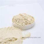 Slightly Yellowish 8002-80-0 Dried Wheat Gluten Powder