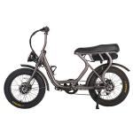 Disc Brake 48v1000w Electric Bicycle City Design Electric Fat Bike for Adults