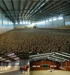 Customizable Steel Framed Agricultural Buildings Horse Shed Anti Seismic