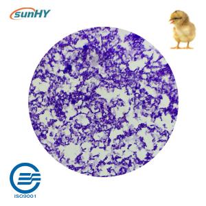 Wholesale Multi Strain 5.1 Billion Cfu/G Probiotics For Animal ISO9001 from china suppliers