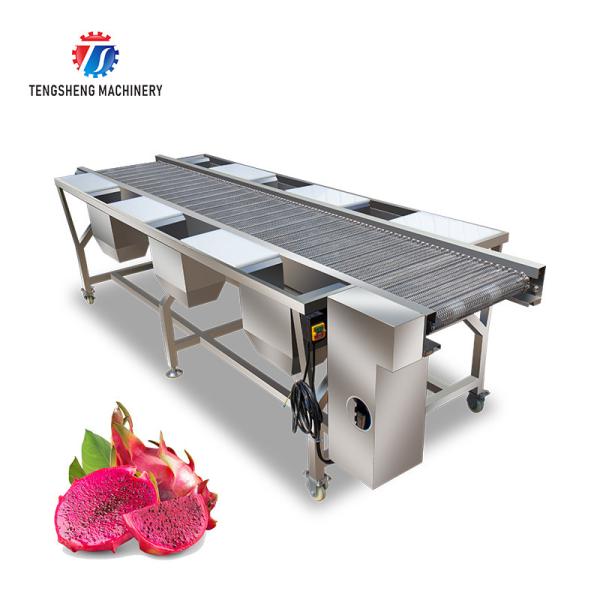 Fruit And Vegetable Production Line Multi Station Selection Cutting Conveyor