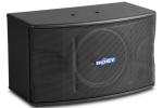 10 inch full range karaoke speaker OK-220