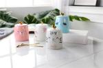 Anti Bacteria CIQ Matt Colour 18oz Fine Porcelain Coffee Mugs