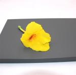 Soft Touch PET Laminated MDF Panels