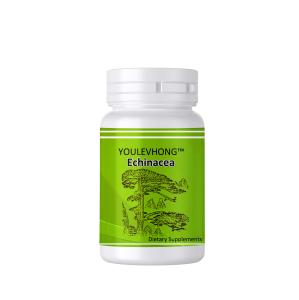 Wholesale Echinacea Supplements Daily Health Brain Food Supplements Wound Healing from china suppliers