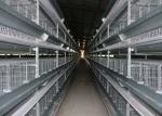 Indoor Battery Cage Poultry Farming Saving Feed Unique Cross - Opening Door