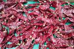 XingLong Dried Paprika Peppers 16CM Dehydrated Red Chili Pods