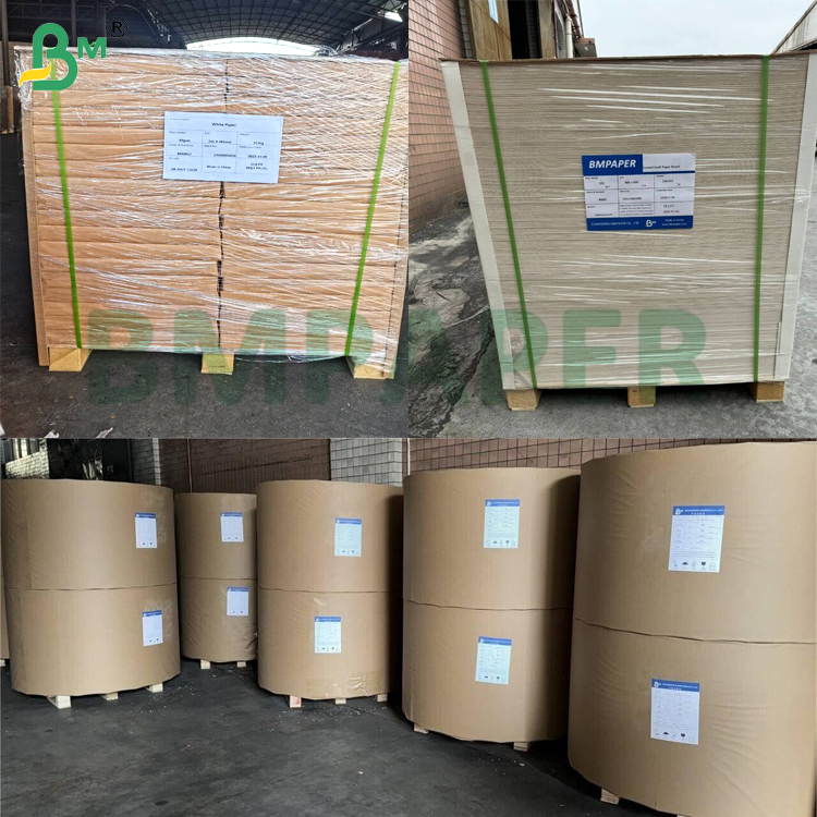 180gsm 200gsm Aqueous Plastic Free Paper Cupstock Paper Heat Resistant (120°C) For Paper Cups Bowl  Takeaway Containers