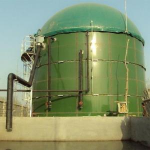 Wholesale Green Color Dual Membrane Biogas Dome Gas Holder Anti Corrosion Shockproof from china suppliers