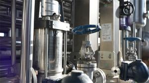 Wholesale Customizable Mango Puree Plant with Stainless Steel Construction from china suppliers