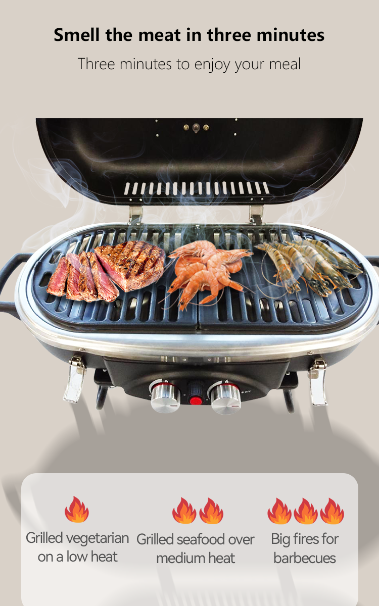 Easily Assembled 2 Burner Propane BBQ Gas Grill with Rotisserie Natural Gas Type