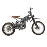 Steel Frame Fat Tire Bicycle Electric Dirt Bike for Men Rear Hub Motor Braking