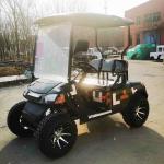 LED Steel Frame 25-40 Mph Electric Golf Cart with All Terrain Tires