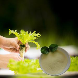 Wholesale Biostimulants Organic Nitrogen Fertilizer Amino Acid 80% Powder 14-0-0 from china suppliers