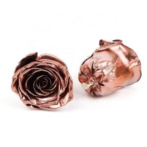 Wholesale Christmas Decoration Eternal Rose Gift , Preserved Real Rose Heads from china suppliers