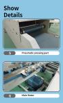 Water Soluble Cold Glue CQT 800 Box Folding Gluing Machine for Wood Packaging