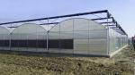 Strong Structure Polyethylene Film Greenhouse Thickness 0.12 / 0.15 / 0.20mm