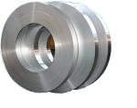 Premium Galvanized Steel Strip 40 - 275G/M2 Zinc Coating Soft Or Hard Quality