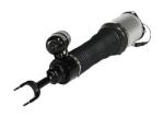 Front Bently Air Ride Systems Struts For Cars 3D0616040D 3W0616039