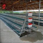 Commercial Chicken Layer Battery Cage System 2.0m*2.0m*1.45m In Nigeria Star