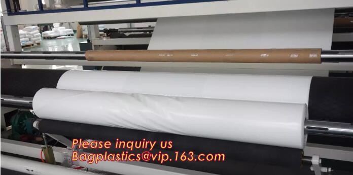 Carpet protectivDustless Warehouse PE Protection Films for Dust Control,Plastic sheet builders film black color 2mx100m,
