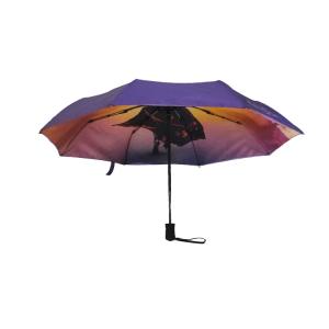 Wholesale Auto Open Double Layer 21&quot;*8K Windproof Travel Umbrella from china suppliers