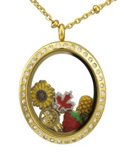 Wholesale New 316L Stainless Steel Crystal Stones Floating Memory Glass Lockets Pendant Necklaces from china suppliers