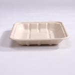 Supermarket Bagasse Food Tray Disposable Food Grade Various Sizes Available