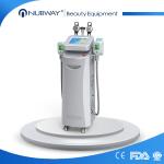perfect cooling 5 handles cryolipolysis machine for sale/cryolipolysis shaping