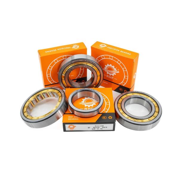 Durable 50*110*40mm NU/NJ/NF2310EM Cylindrical Roller Bearing for Industrial