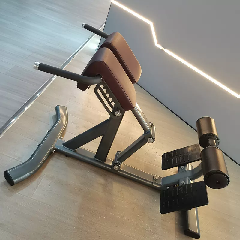 Befreeman Hot Selling Gym Fitness Exeserces 45 Degree Back Extension Machine Roman Chair for Sale