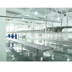 Complete Chicken Slaughtering Line 500-10000bph Slaughterhouse Poultry Killing
