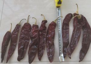 Wholesale Smooth And Leathery Guajillo Chili Peppers 2 - 4 Inches Size For B2B Buyers from china suppliers
